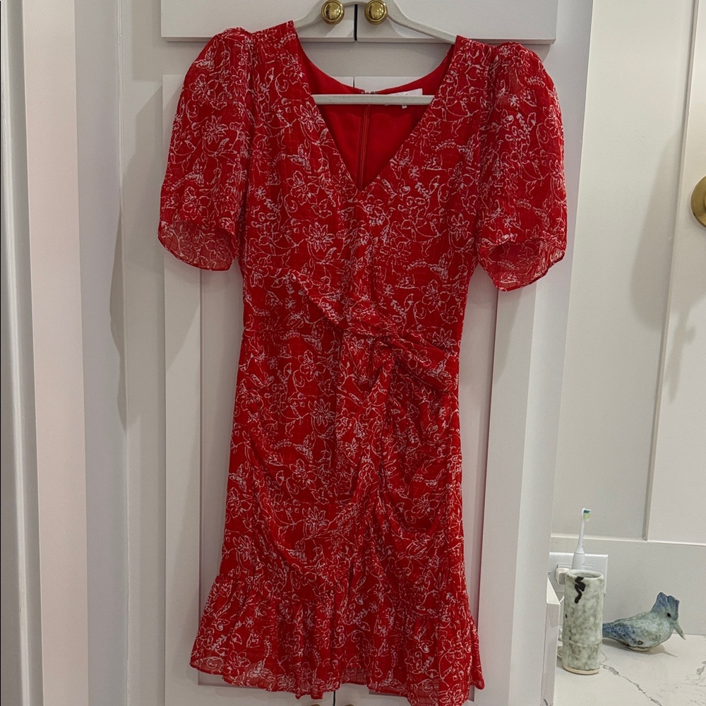 Parker Red Floral Silk Mini Dress with Rousing Details 4